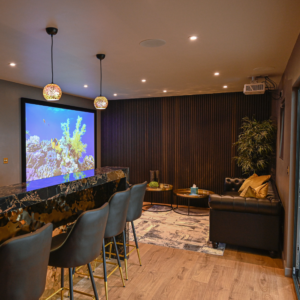 Bespoke steel frame garden room configured into a premium home cinema room, featuring luxury tiered seating, immersive ambient lighting, and high-end audio-visual technology for a total garden transformation.