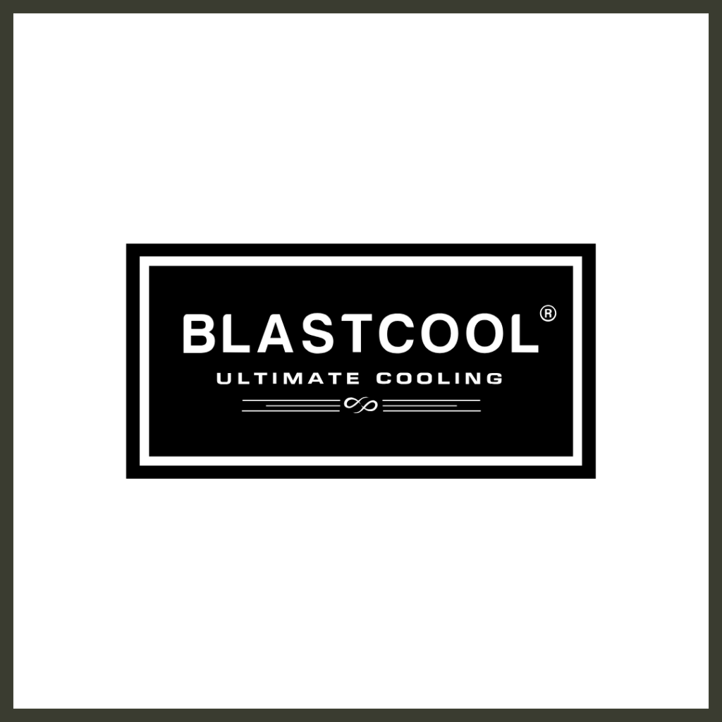 The official brand logo for Blastcool, featuring its sleek, professional corporate typography, representing elite commercial-grade outdoor refrigerators, weather-resistant bottle coolers, and premium alfresco beverage cooling technology.