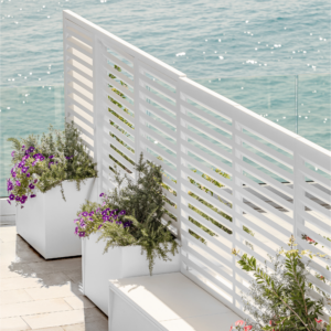 Privacy Screens